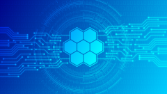 轻内容平台满足休闲需求，网络文化更加多元